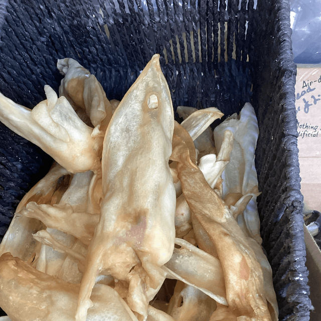 Lamb ear