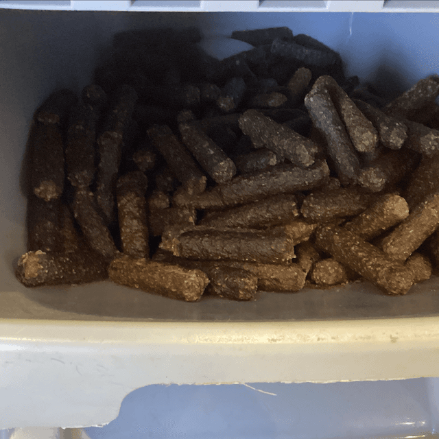 Sausage