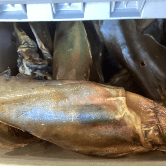 Cow Ear