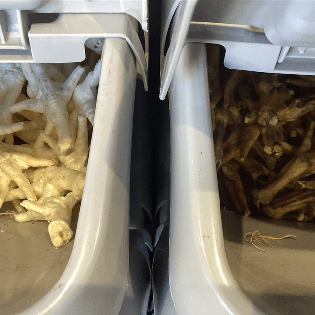 Chicken feet